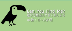 「Can You Find Me? 」の遊び方
